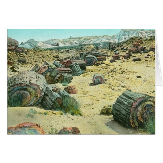 Petrified Forest Cards (Front Horizontal)