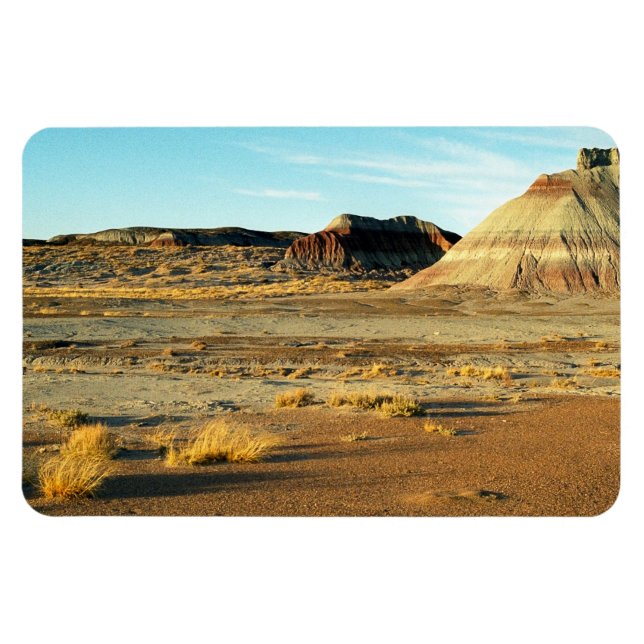 Petrified Forest Desert Arizona Landscape Photo Magnet (Horizontal)
