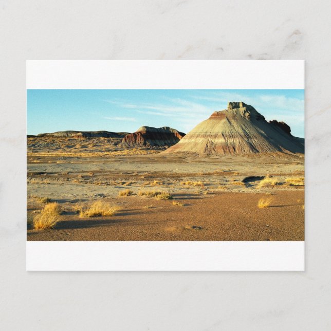 Petrified Forest Desert Arizona Landscape Photo Postcard (Front)