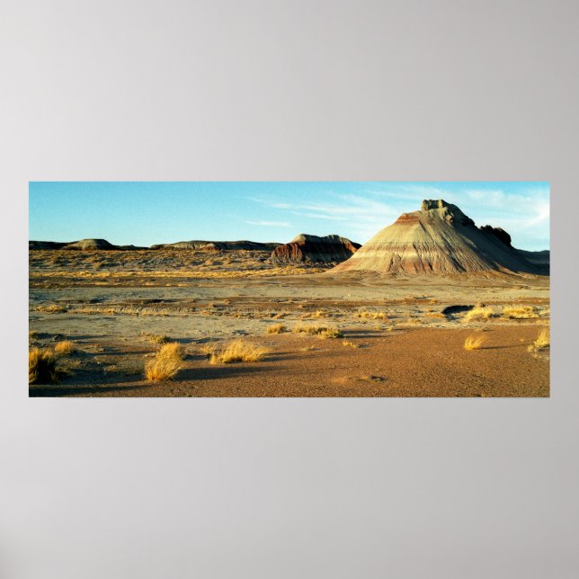 Petrified Forest Desert Arizona Landscape Photo Poster (Front)