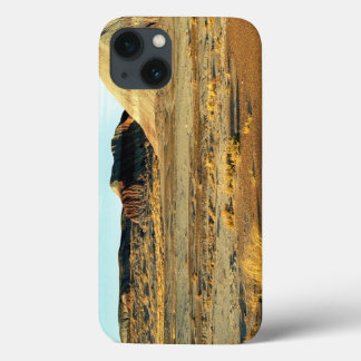 Petrified Forest Desert iPhone 13 Case