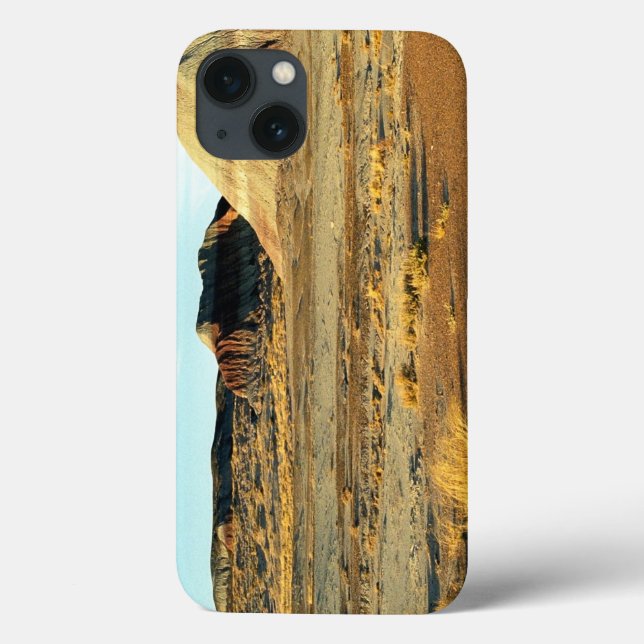 Petrified Forest Desert Case-Mate iPhone Case (Back)