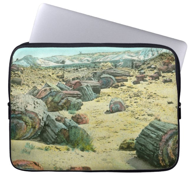 Petrified Forest Laptop Sleeve (Front)