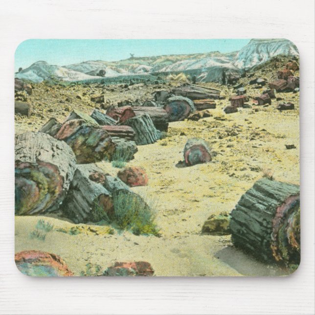 Petrified Forest Mouse Pad (Front)