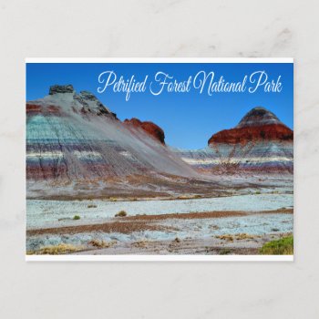 Petrified Forest National Park  Arizona  Postcard by merrydestinations at Zazzle