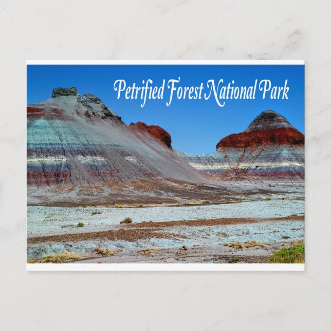 Petrified Forest National Park, Arizona  Postcard (Front)