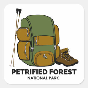 Petrified Forest National Park Backpack Square Sticker