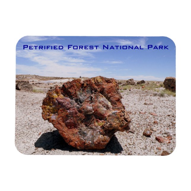 Petrified Forest National Park Magnet (Horizontal)