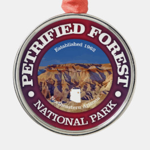 Petrified Forest NP Metal Ornament