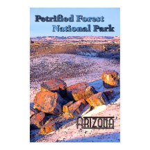 Petrified Forest Vintage Style