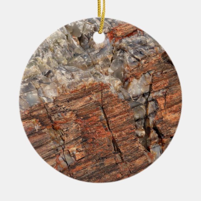 Petrified Log Closeup I Ceramic Ornament (Front)