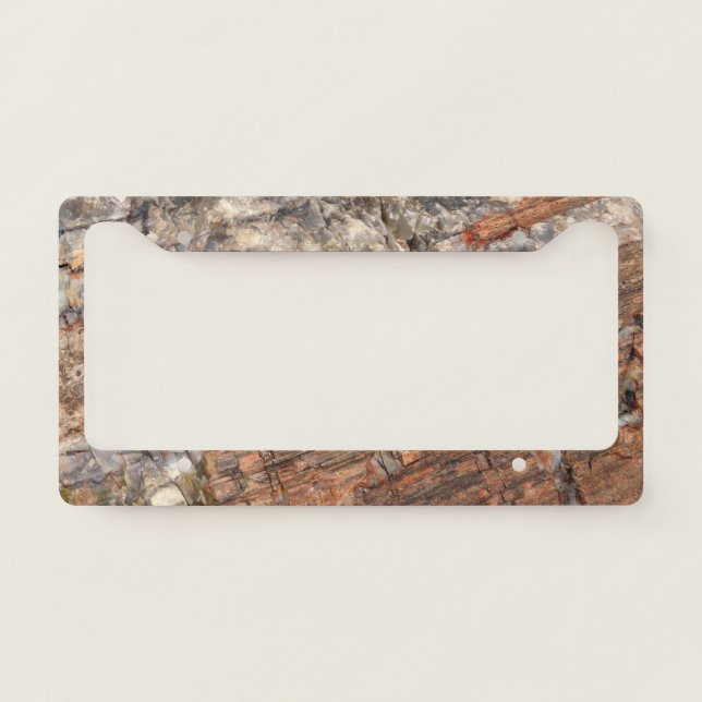 Petrified Log Closeup I License Plate Frame (Front)