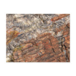 Petrified Log Closeup I Postcard