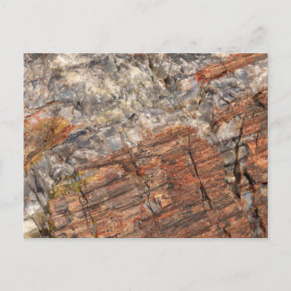 Petrified Log Closeup I Postcard