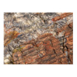 Petrified Log Closeup I Poster