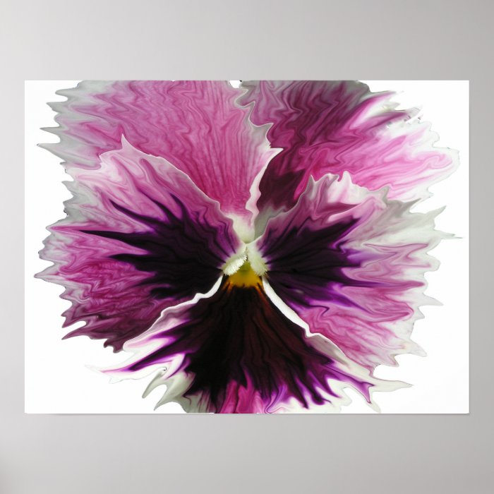 petrified pansy print