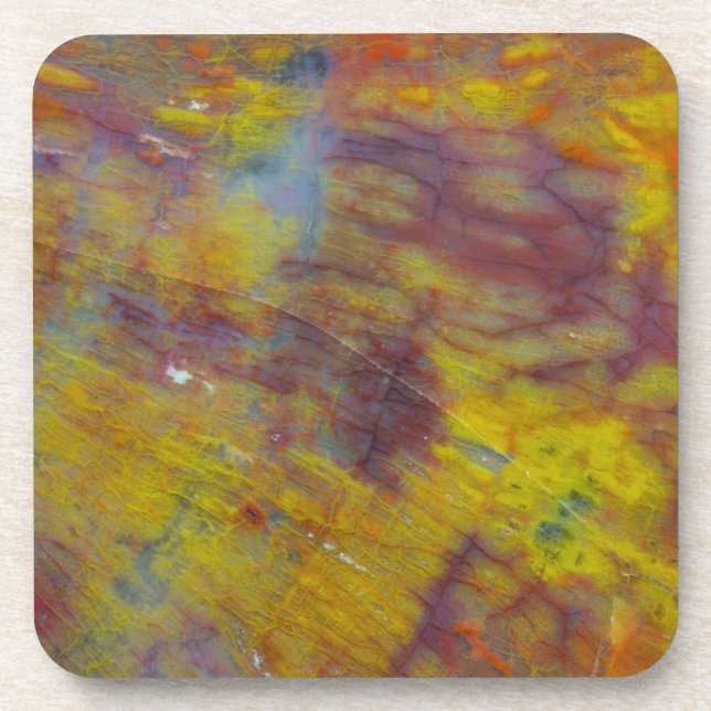 Petrified Wood Beverage Coaster (Front)