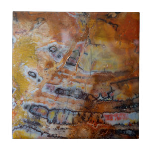 Petrified Wood Brown Ceramic Tile