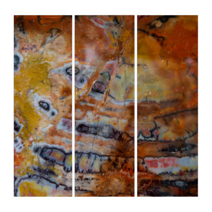 Petrified Wood Brown Triptych