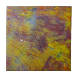 Petrified Wood Ceramic Tile