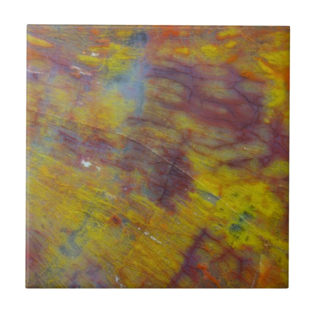 Petrified Wood Ceramic Tile (Front)