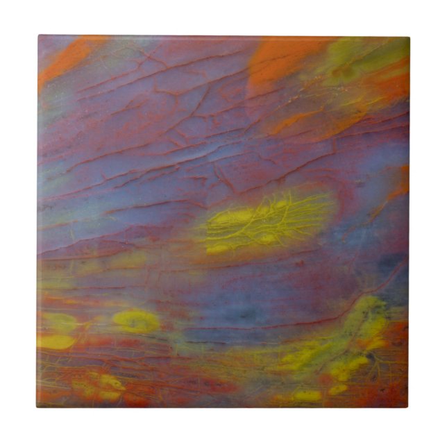 Petrified Wood Close-Up Ceramic Tile (Front)