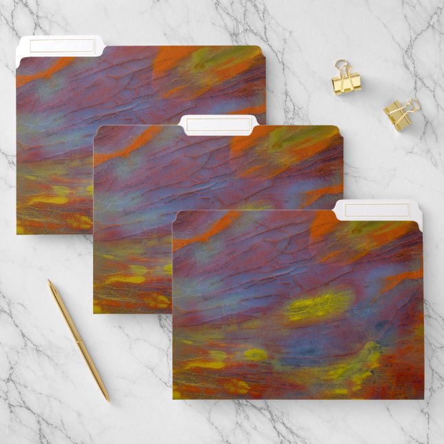 Petrified Wood Close-Up File Folder (Set)