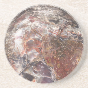 Petrified Wood Coaster