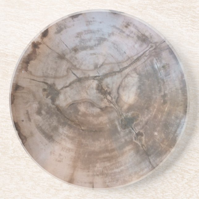 Petrified Wood Coaster (Front)