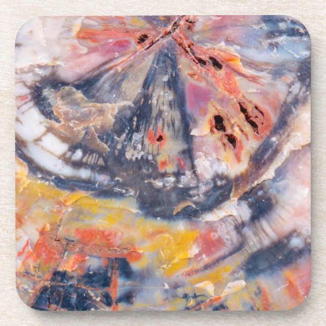 Petrified wood detail, Arizona Beverage Coaster (Front)