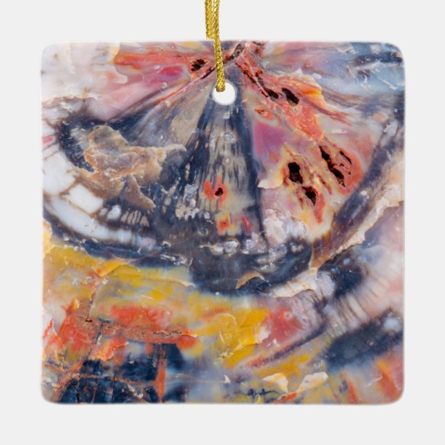 Petrified wood detail, Arizona Ceramic Ornament (Front)