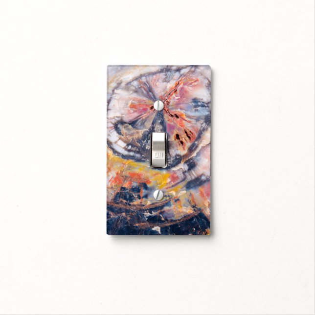 Petrified wood detail, Arizona Light Switch Cover (In Situ)