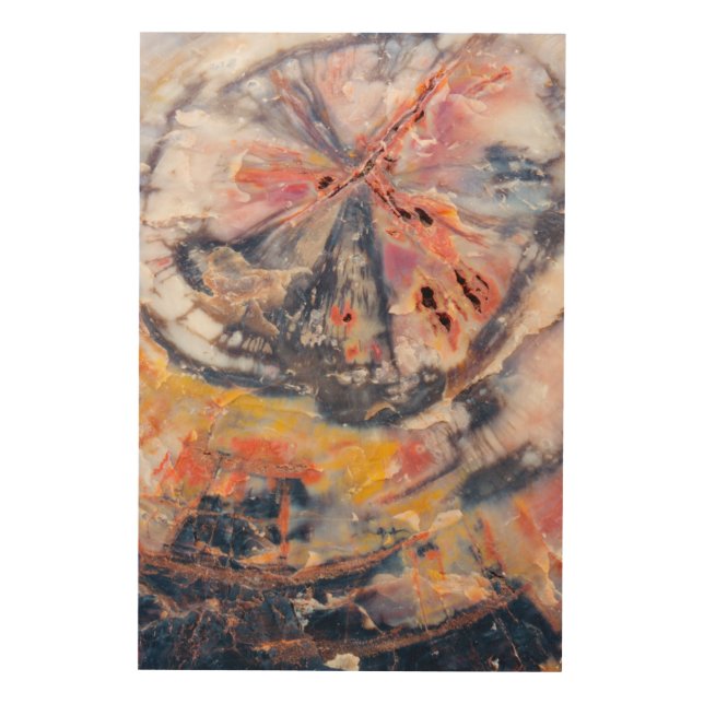 Petrified wood detail, Arizona Wall Decor (Front)