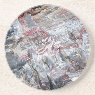 Petrified Wood Drink Coaster