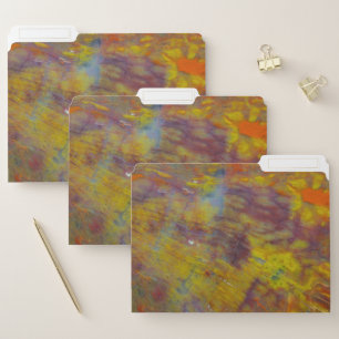 Petrified Wood File Folder