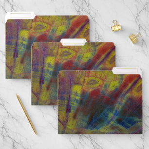 Petrified Wood Horizontal File Folder