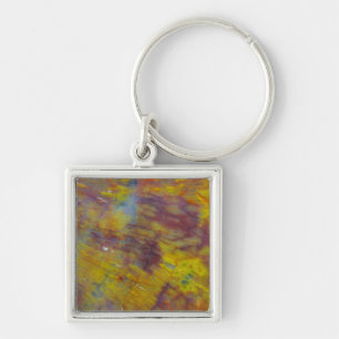 Petrified Wood Keychain
