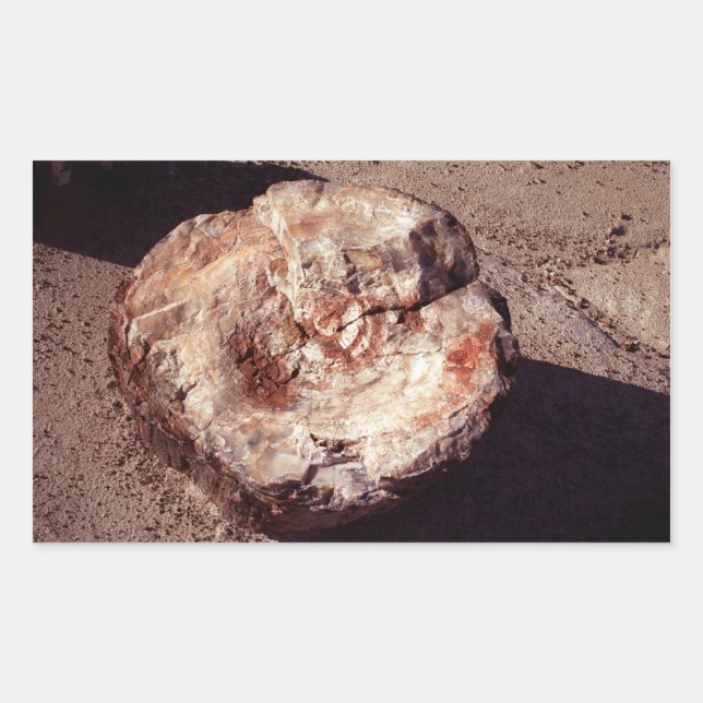 Petrified Wood Log with Shadows Arizona Photo Rectangular Sticker (Front)