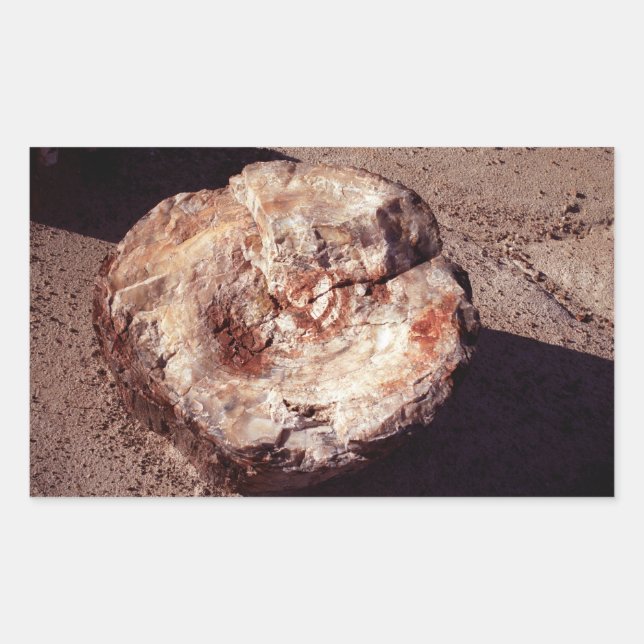 Petrified Wood Log with Shadows Arizona Photo Rectangular Sticker (Front)