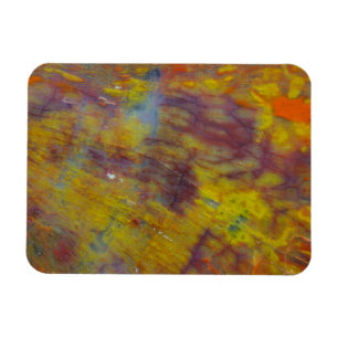 Petrified Wood Magnet