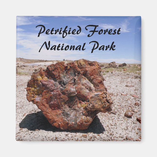 Petrified wood magnet (Front)