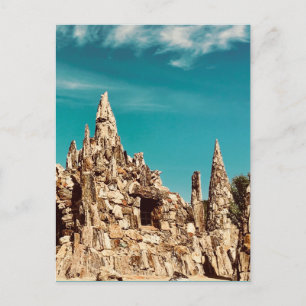 petrified wood park postcard