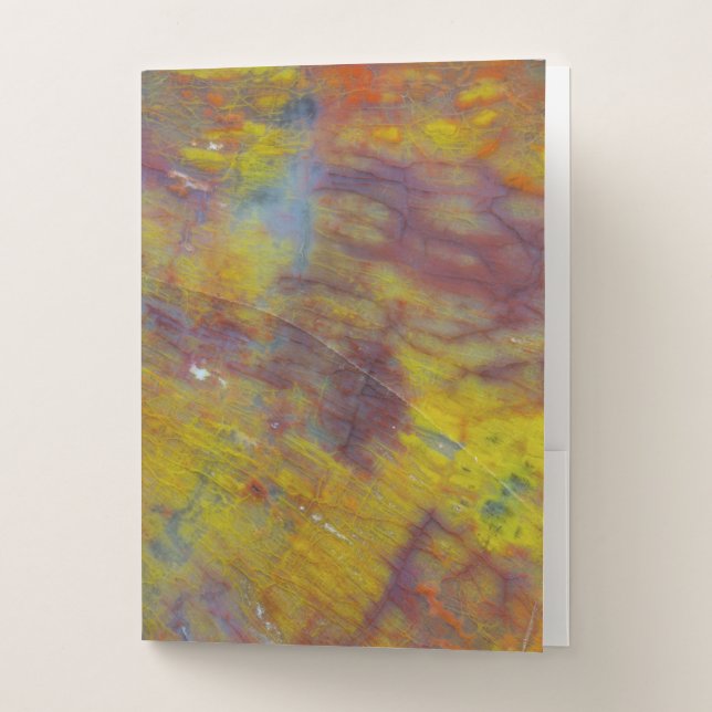 Petrified Wood Pocket Folder (Front)