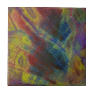 Petrified Wood Vertical Ceramic Tile