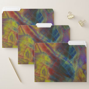 Petrified Wood Vertical File Folder