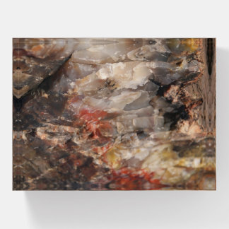 Petrified Wood w Quartz Paperweight