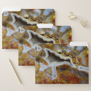 Petrified Wood With Crystals File Folder