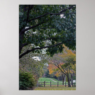 Petrifying Springs Golf Course In Autumn Poster