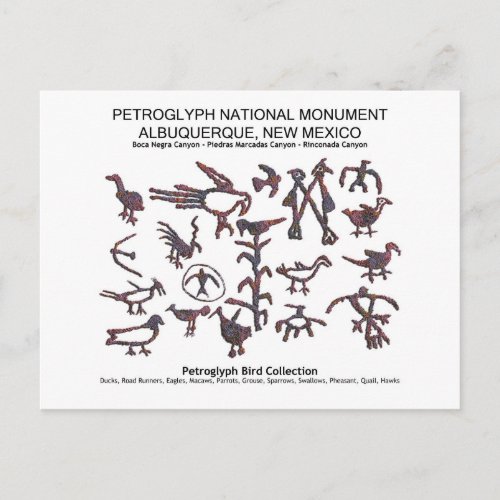 Petroglyph Bird Collection Postcard