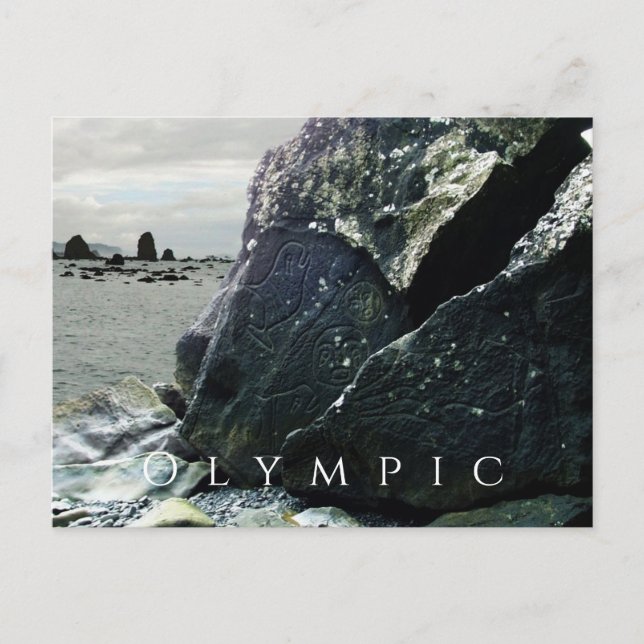 Petroglyphs, Olympic National Park, Washington Postcard (Front)